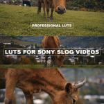 Sony S-Log3 LUTs Mega Pack + Mastering Sony S-Log3: The Complete Foundation Guide eBook | Instant Download
