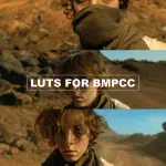 All products on the website in ONE HUGE PACK + Updates. Pay One, Downloads Forever