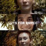 All BMPCC 4K/6K Cinematic LUT Bundle + ProRes/BRAW Color Grading Masterclass Ebook