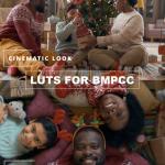 All BMPCC 4K/6K Cinematic LUT Bundle + ProRes/BRAW Color Grading Masterclass Ebook