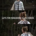 All products on the website in ONE HUGE PACK + Updates. Pay One, Downloads Forever