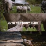 Sony S-Log3 LUTs Mega Pack + Mastering Sony S-Log3: The Complete Foundation Guide eBook | Instant Download