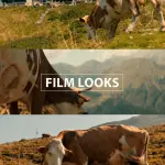 3 in 1 Cinematic Sony S-Log3 LUTs Pack | 15 Professional .CUBE Looks for A7S III, FX3, FX30 | DaVinci Resolve Premiere Pro Digital Download