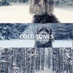 Sony S-Log3 LUTs Mega Pack + Mastering Sony S-Log3: The Complete Foundation Guide eBook | Instant Download