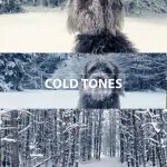 BMPCC 4K 6K LUTs + Sony S-Log3 LUTs Bundle – Cinematic Color Grading