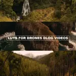 All products on the website in ONE HUGE PACK + Updates. Pay One, Downloads Forever