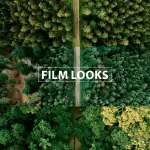 All products on the website in ONE HUGE PACK + Updates. Pay One, Downloads Forever