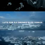 All products on the website in ONE HUGE PACK + Updates. Pay One, Downloads Forever