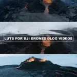 All products on the website in ONE HUGE PACK + Updates. Pay One, Downloads Forever