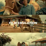 BMPCC 4K and 6K LUTs + Guide PDF | Master Waveforms & Scopes