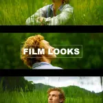 All products on the website in ONE HUGE PACK + Updates. Pay One, Downloads Forever