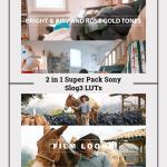 2-in-1 Sony S-Log3 LUTs Pack | 10 Cinematic .CUBE LUTs for A7S III, FX3, FX30, A7 IV | Color Grading for DaVinci, Premiere, Final Cut