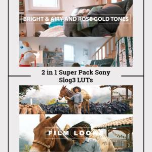 2-in-1 Sony S-Log3 LUTs Pack | 10 Cinematic .CUBE LUTs for A7S III, FX3, FX30, A7 IV | Color Grading for DaVinci, Premiere, Final Cut