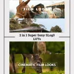 2-in-1 Sony SLog3 LUTs Super Pack - 9 Cinematic Presets for A7S III, FX3, FX30, A1, Rec709, Video Editing, Pro Color Grading alternative title