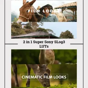 2-in-1 Sony SLog3 LUTs Super Pack - 9 Cinematic Presets for A7S III, FX3, FX30, A1, Rec709, Video Editing, Pro Color Grading alternative title
