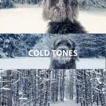 BMPCC 4K and 6K LUTs: 5 Cinematic Color Grading Presets + ALL Sony S-Log LUTs Pack