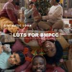 ALL BMPCC 4K and 6K Cinematic LUTs Mega Bundle + The Colorist's Compass- Advanced Color Grading for BMPCC 4K & 6K