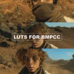 ALL BMPCC 4K and 6K Cinematic LUTs Mega Bundle + The Colorist's Compass- Advanced Color Grading for BMPCC 4K & 6K