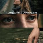 RED R3D IPP2 Cinematic LUTs + Color Grading Guide | Professional RED Camera Log3G10 Workflow